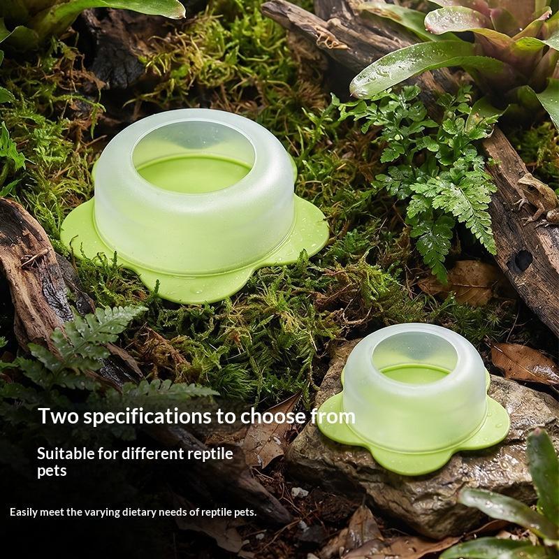 Water Dish Reptile - Plato de alimentación para reptiles, diseño
