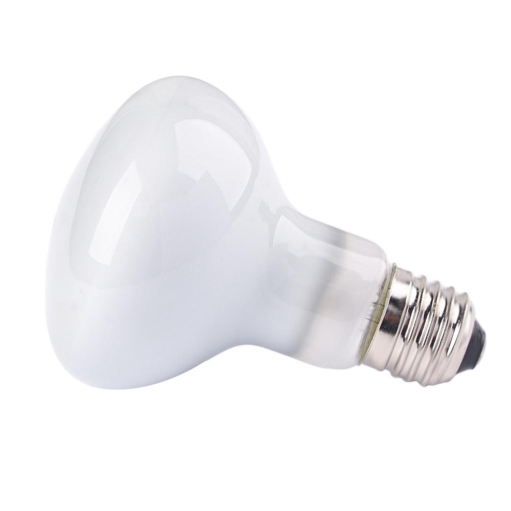 Lámpara de Calor para Lagartos - Basking Bulb Halogen reseña y precio