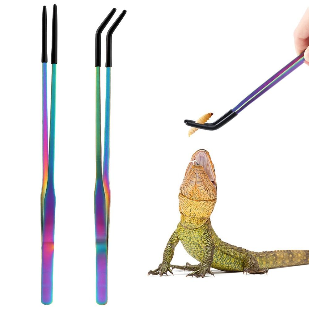 Pinzas de acero inoxidable par - Feeding Tong Stainless reseña y precio