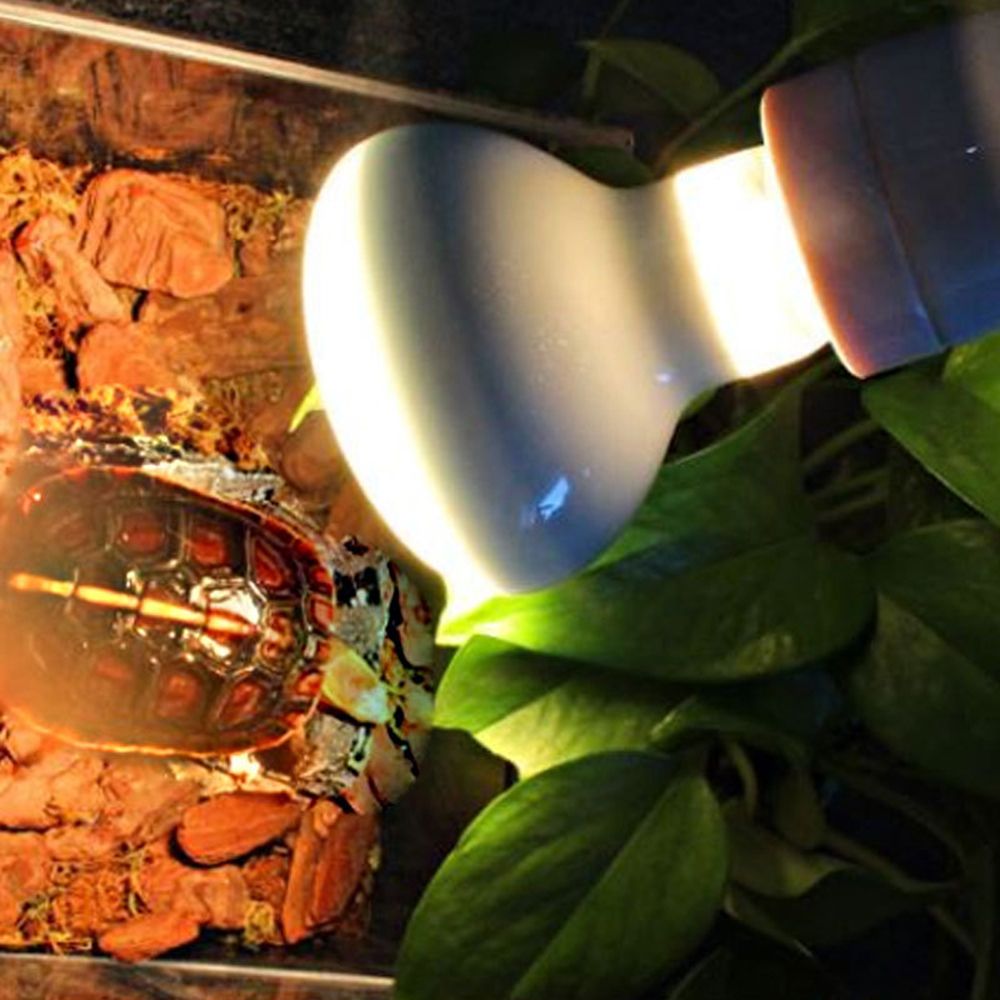 Controlador de Temperatura par - Basking Bulb Halogen reseña y precio