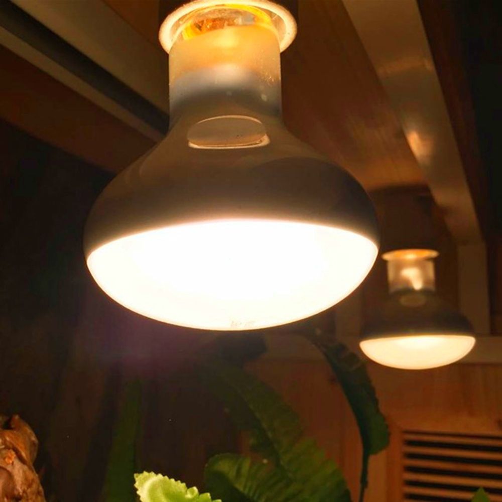 Controlador de Temperatura par - Basking Bulb Halogen reseña y precio