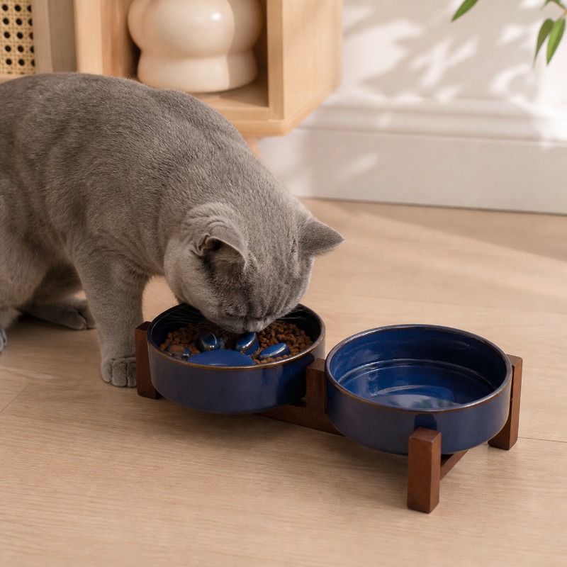 Horno de estilo japonés, cuenc - Royal Canin Food Medium reseña y precio