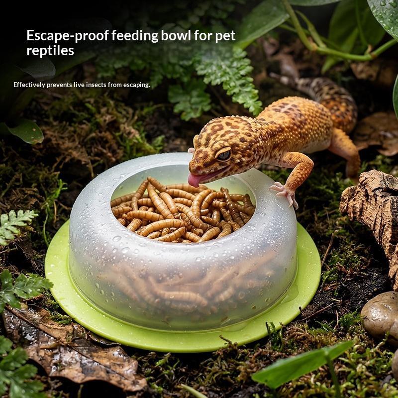Plato de alimentación para rep - Water Dish Reptile reseña y precio
