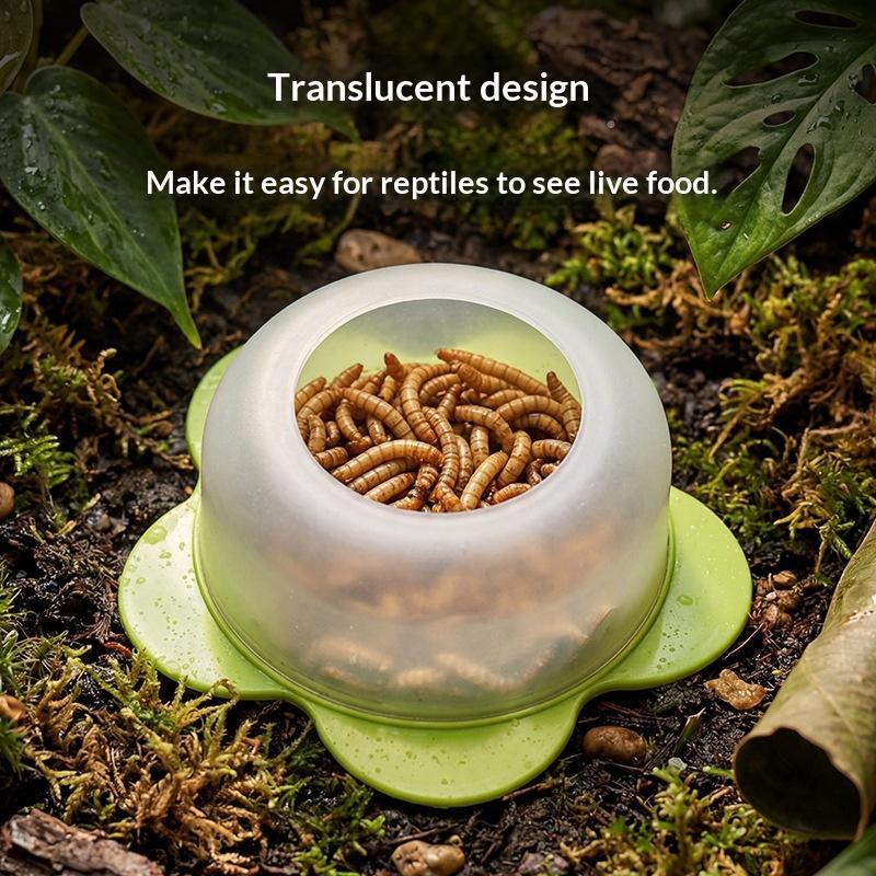 Plato de alimentación para rep - Water Dish Reptile reseña y precio