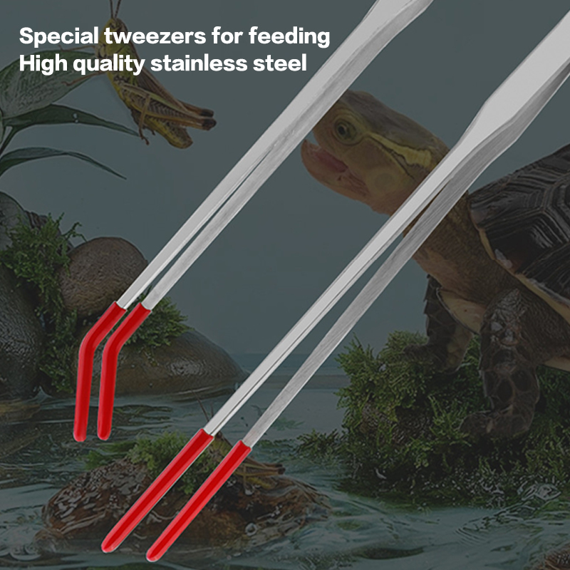 Pinzas para Alimentar Reptiles - Feeding Tong Stainless reseña y precio