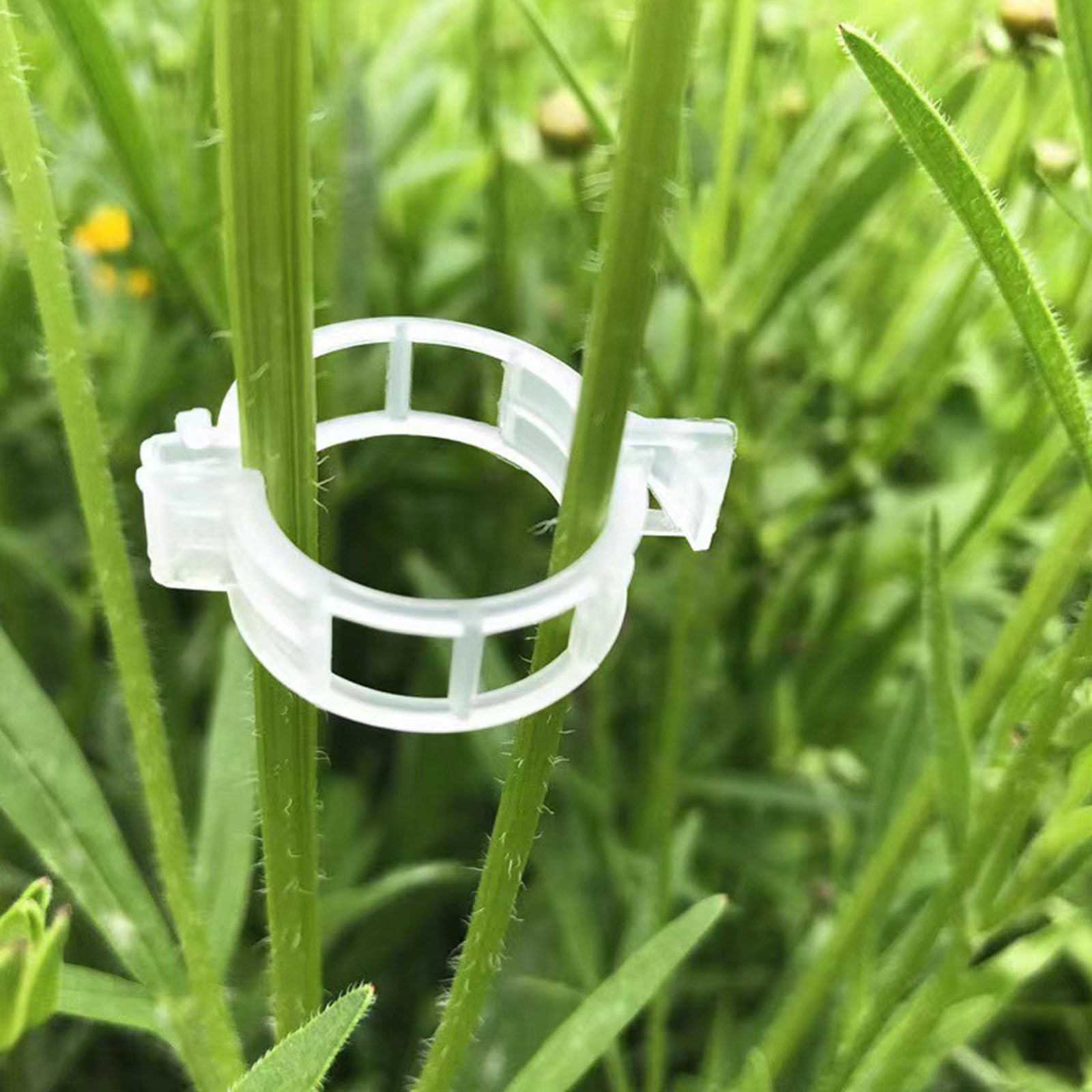 Clip de Plástico Seguro para P - Vine Climbing Plastic reseña y precio